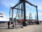 Aransas on the cradle